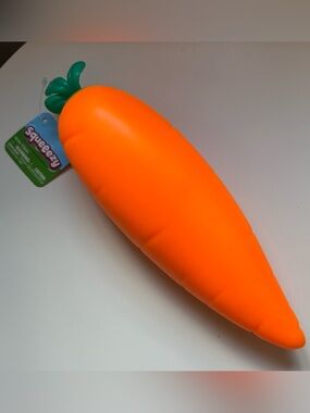 Sunny Days Squeeezy Carrot
